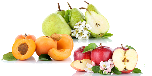 Likör-Genusswerkstatt