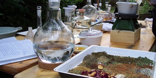 Heilpraktiker in Dresden